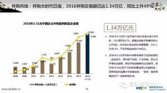 2016年中国股权投资市场回顾与展望 融资咨询服务的机遇与挑战